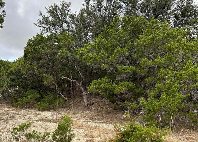Property at 241 Legacy Rdg, Canyon Lake, TX 78133