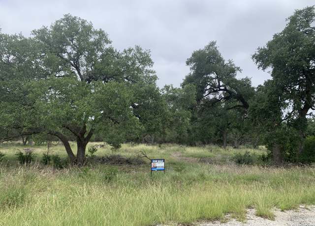 Property at 191 Indian Blanket, Spring Branch, TX 78070