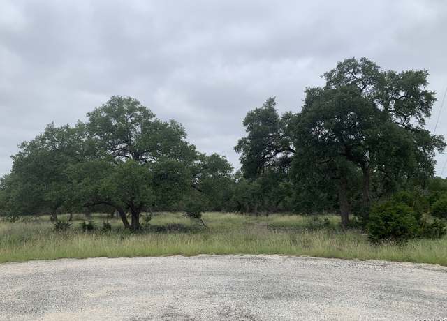 Property at 191 Indian Blanket, Spring Branch, TX 78070