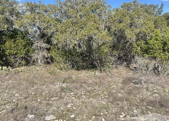 Property at 102 S John Bird, Blanco, TX 78006
