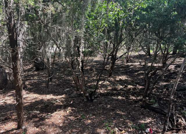 Property at 628 Hillside Dr, Spring Branch, TX 78070