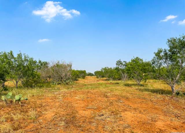 Property at 000 County Road 429, Pleasanton, TX 78064