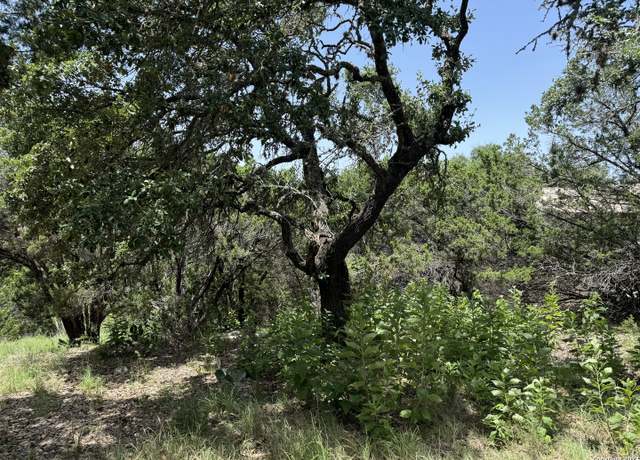 Property at 169 Black Oak Dr, Canyon Lake, TX 78133