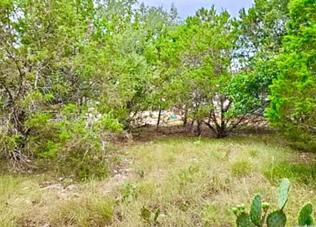 Property at 119 N John Bird, Blanco, TX 78606