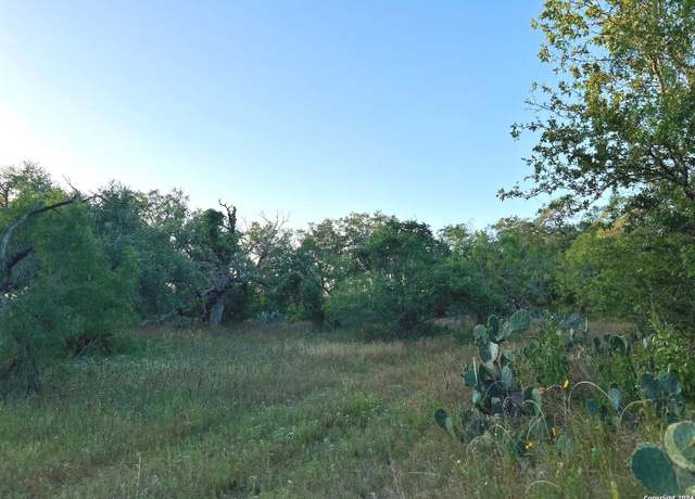 Property at TBD Bruce Rd, Pleasanton, TX 78064