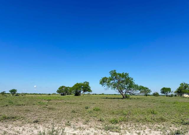Property at LOT 2 0 CR 197, Falls City, TX 78113
