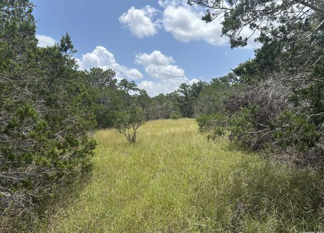 Property at 335 Serenity, Spring Branch, TX 78070