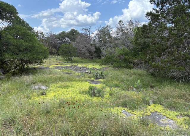 Property at 203 Bluff Vw, Spring Branch, TX 78070