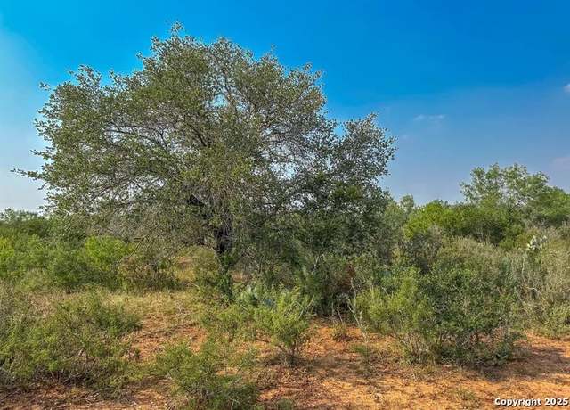 Property at 1294 CR 429, Pleasanton, TX 78064