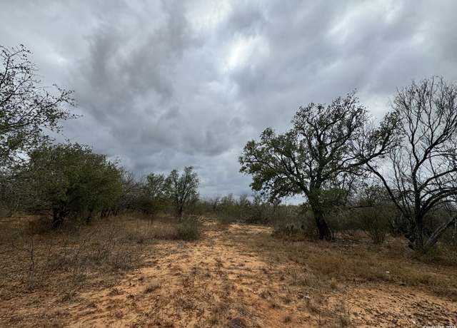 Property at TBD E FM 462, Moore, TX 78057
