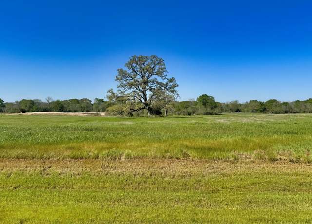 Property at 10022 Hidden Pond Dr, Iola, TX 77861