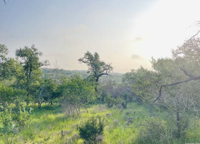 Property at 395 Shady Holw, New Braunfels, TX 78132