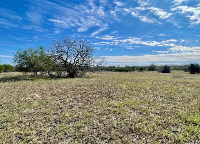 Property at TRACT 4 County Road 342, Kenedy, TX 78119-5299