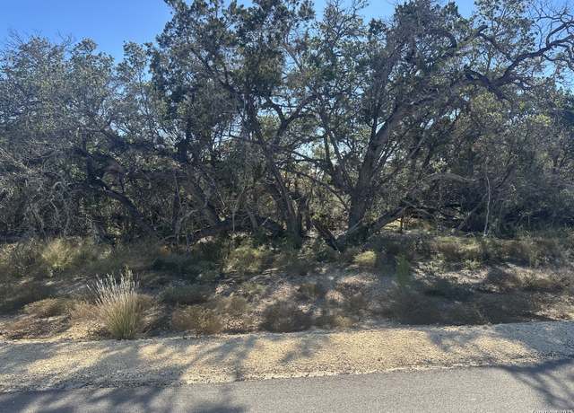 Property at 935 Serene Park, Spring Branch, TX 78070