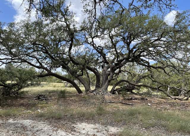 Property at 34810 Last Stage Way, Bulverde, TX 78163