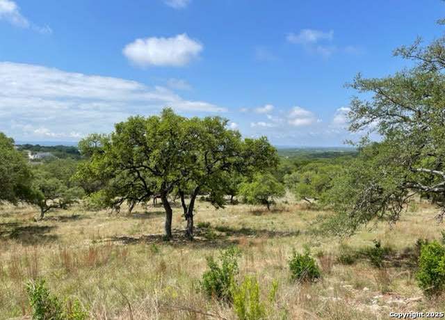 Property at 1074 Madrone Rd, Fischer, TX 78623