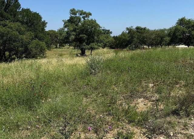 Property at 4602 FM 1107, Tract 1, Stockdale, TX 78160