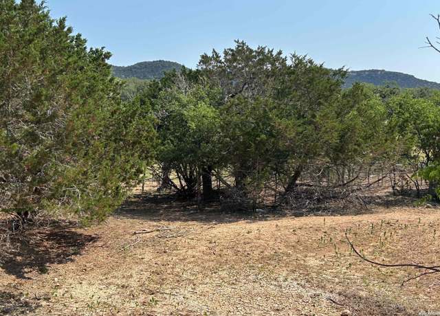 Property at 1619 Stringtown, Medina, TX 78055