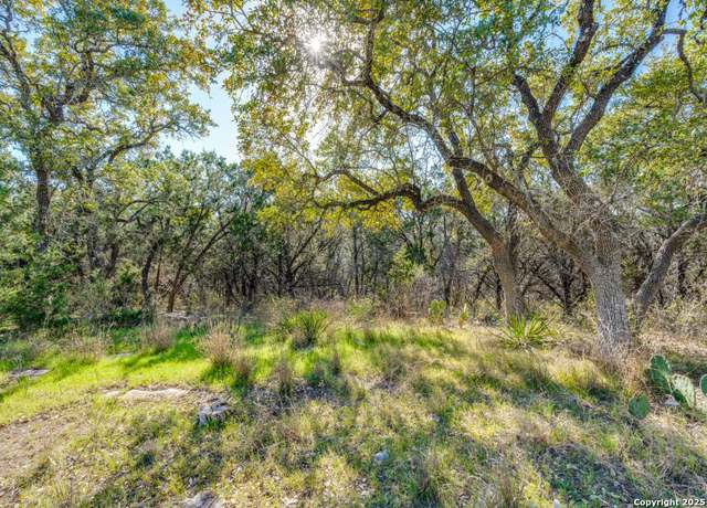 Property at 223 Lakeview, Spring Branch, TX 78070