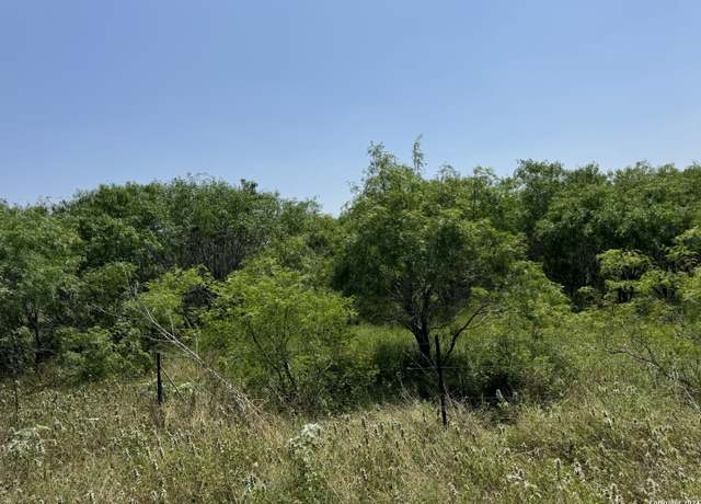 Property at 135 Steele Branch Ln, Stockdale, TX 78160