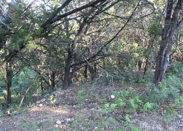 Property at 879 Deerwood Dr, Canyon Lake, TX 78133