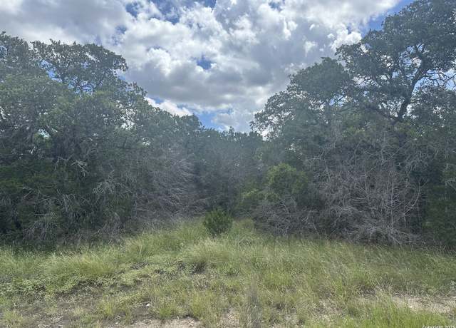Property at 275 Serenity Pass, Spring Branch, TX 78070