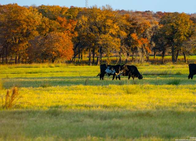 Property at TBD S State Hwy 123, Seguin, TX 78155