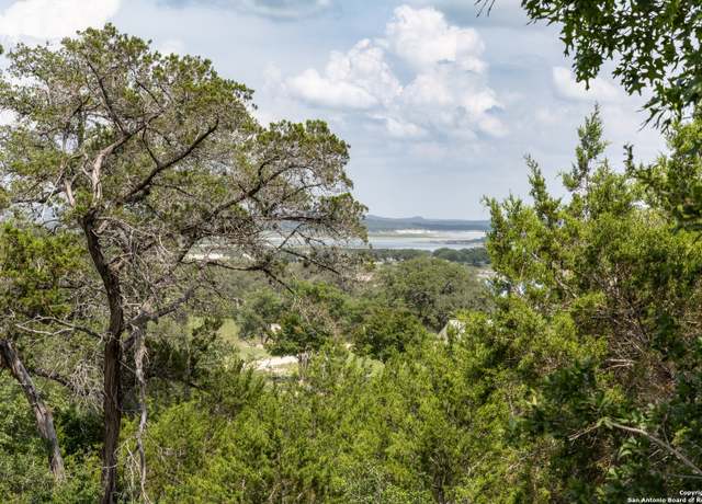 Property at 161 Puzzle Pass, Spring Branch, TX 78070