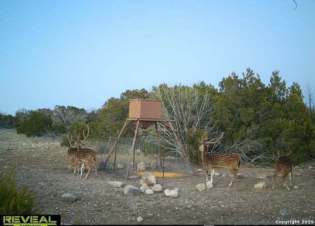 Property at TBD Sd 45340, Rocksprings, TX 00000