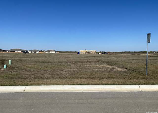 Property at 133 Albion Ct, Poteet, TX 78065