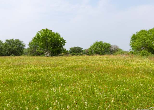 Property at 00 Shepherd Rd, Atascosa, TX 78002