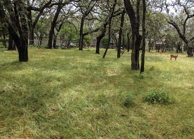 Property at 16814 Lilly Crst, San Antonio, TX 78232