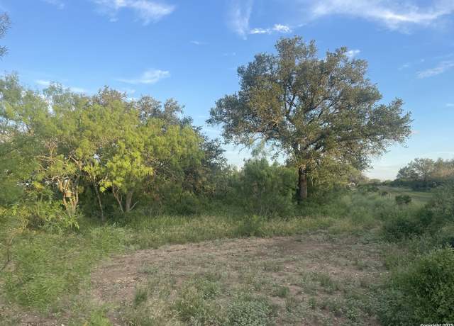 Property at TBD County Road 445, Hondo, TX 78861
