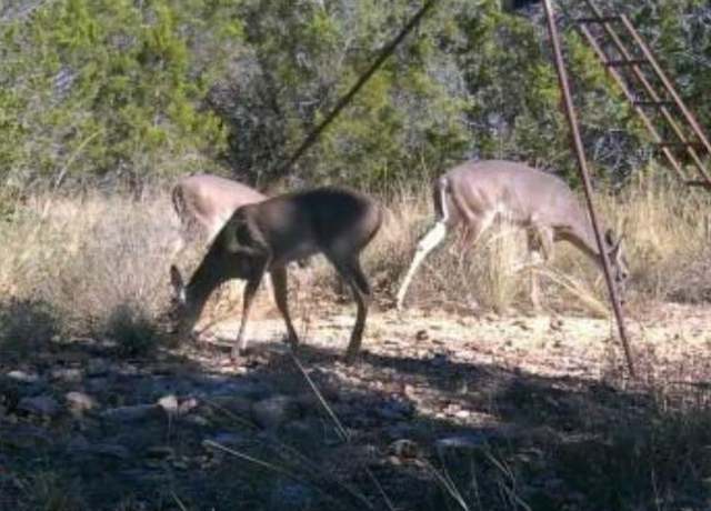 Property at 235 Private Road 235 Lot 2, Hondo, TX 78861