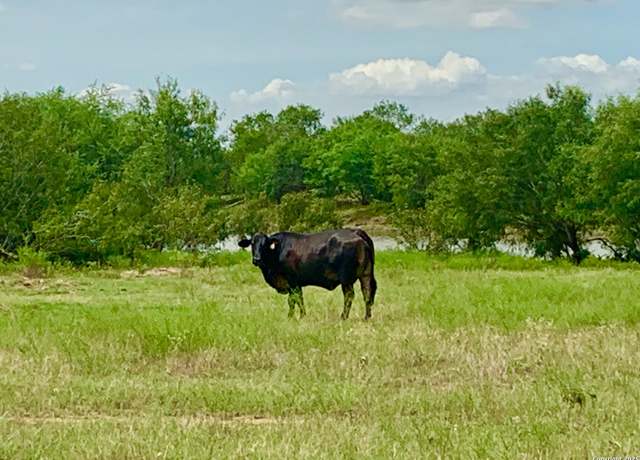 Property at 25.83 AC Tbd Kotara Ln/cr 257, Floresville, TX 78114