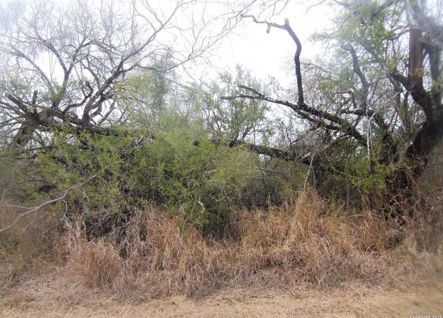 Property at TBD FM 1582, Pearsall, TX 78061