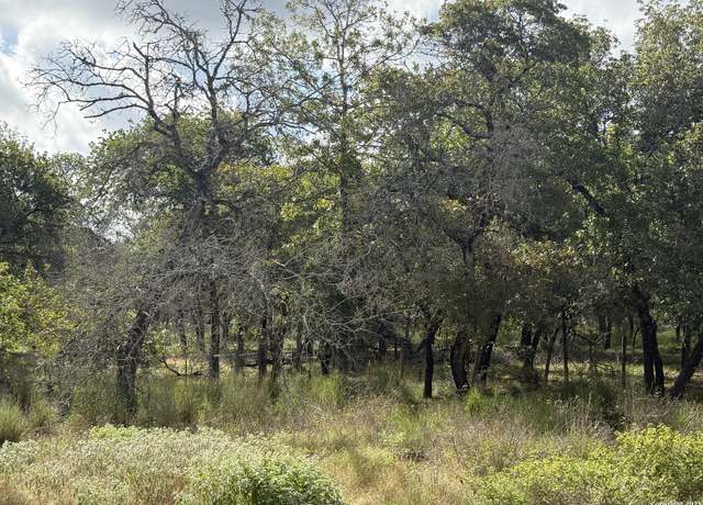 Property at 105 Clear Spg, Floresville, TX 78114