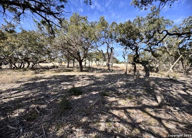 Property at 34706 Deeanne Vly, Bulverde, TX 78163