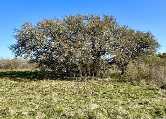 Property at 8715 FM 1796, Dhanis, TX 78850
