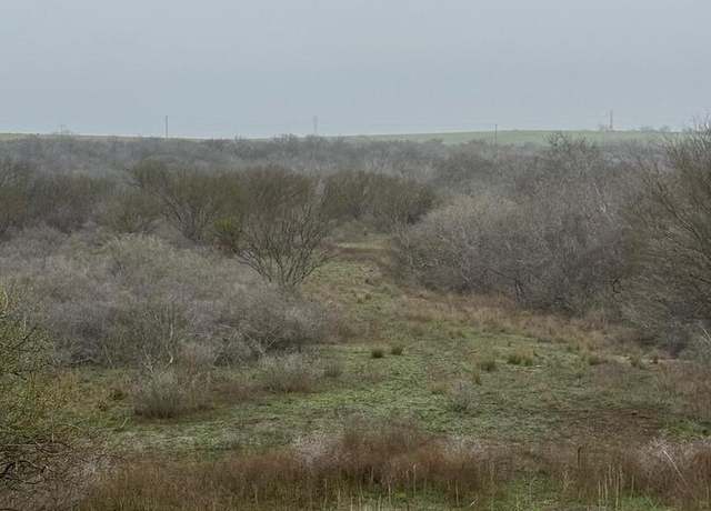Property at 00 S County Road 153, Kenedy, TX 78119-5332
