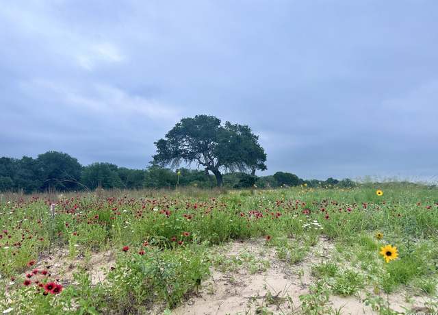 Property at 718 Sunrise Ln, La Vernia, TX 78121