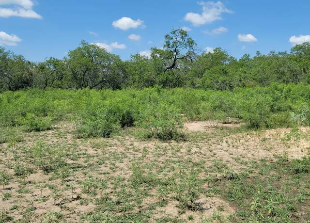 Property at 2142 Blue Crk, La Vernia, TX 78121