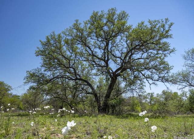 Property at 2731 County Road 770, Natalia, TX 78059