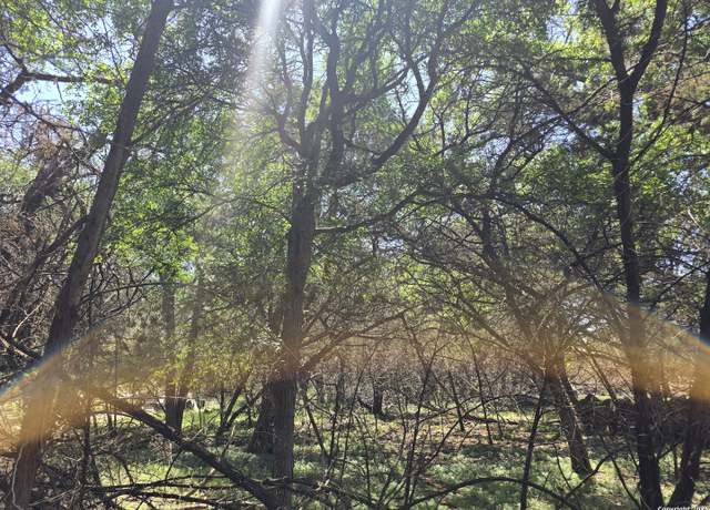Property at 1548 Winding Creek Trl, Spring Branch, TX 78070
