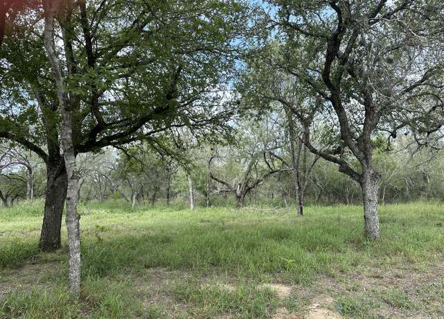 Property at 20588 S State Highway 16, Atascosa, TX 78002