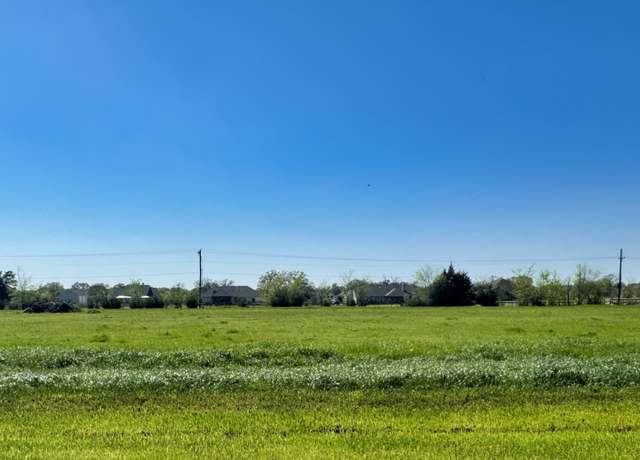 Property at 9891 Panther Creek Dr, Iola, TX 77861