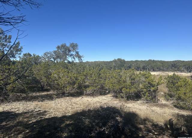 Property at 371 Serenity Pass, Spring Branch, TX 78070