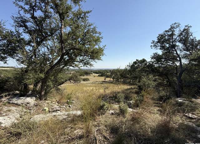 Property at 420 Coneflower Dr, Spring Branch, TX 78070