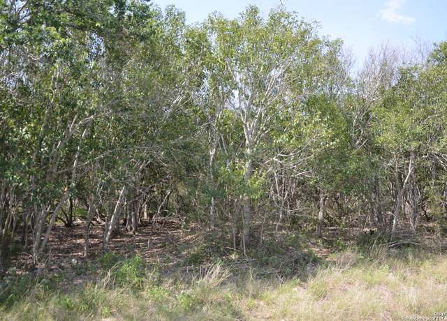 Property at 025 Wesp Way, San Antonio, TX 78233