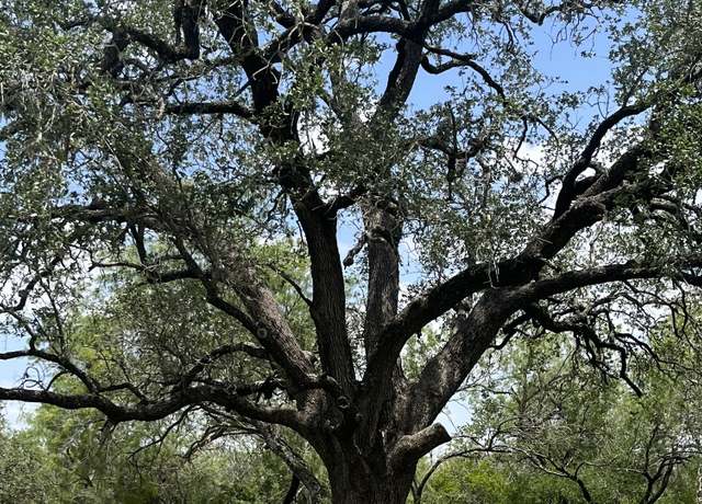 Property at 946 County Road 2863, Bigfoot, TX 78005